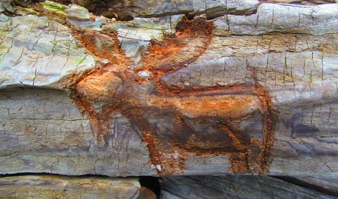 moose carving